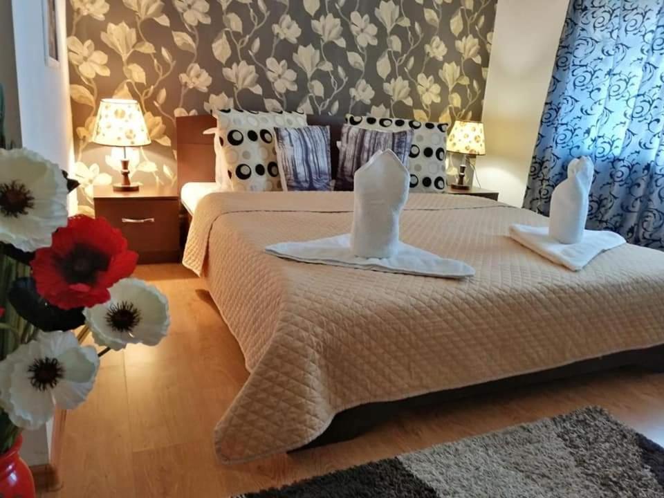 Casa Regala Ear Hotel Крайова Екстериор снимка