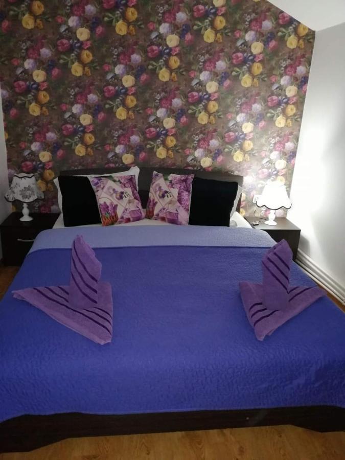 Casa Regala Ear Hotel Крайова Екстериор снимка